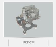 Cutaway Model PCP-CM