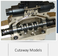 Cutaway Models